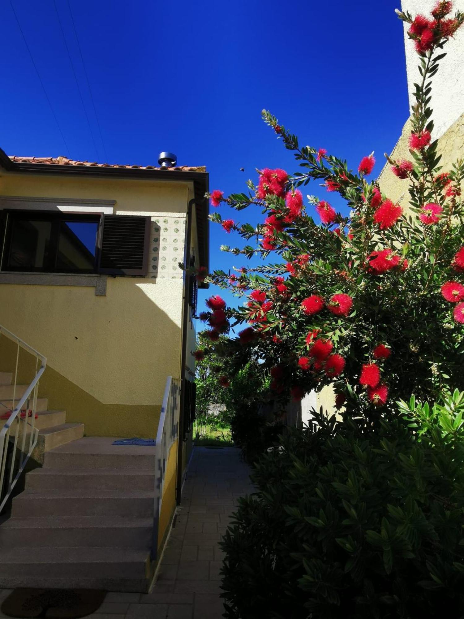 مبيت وإفطار Casa Sao Pedro Belinho Only Pilgrims المظهر الخارجي الصورة
